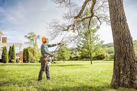 Best Commercial Tree Services  in Wesley Chapel, NC